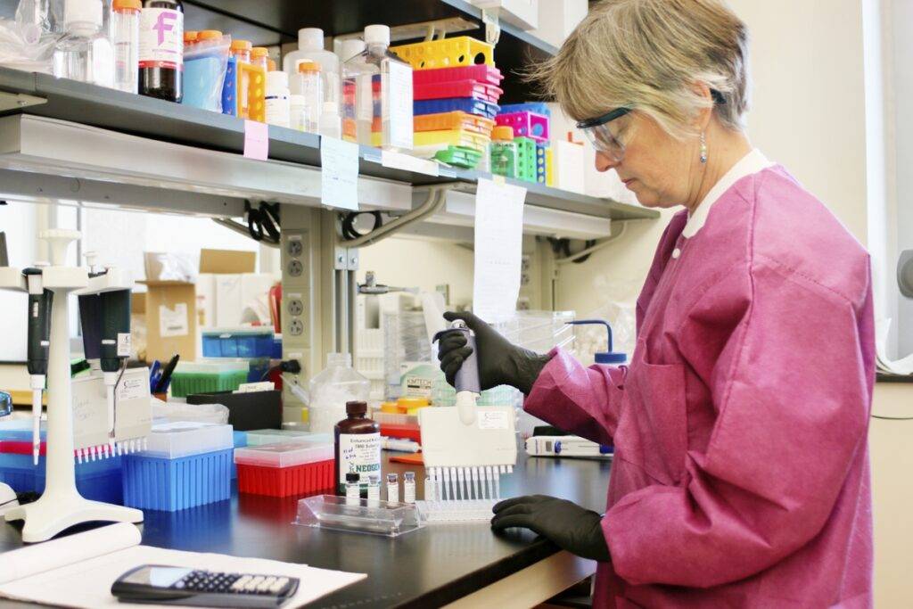 Państwowa Inspekcja Sanitarno-Epidemiologiczna (SANEPID) - kompleksowy przewodnik